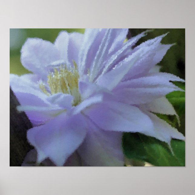 Póster Pintura artística de las flores de Lavender Clemat (Frente)