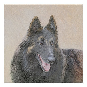 Póster Pintura belga de tervuren - Arte típico de perro o