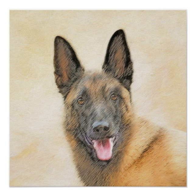 Póster Pintura belga malinois - Arte de perro original (Anverso)