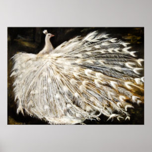 Póster Pintura blanca del pavo real
