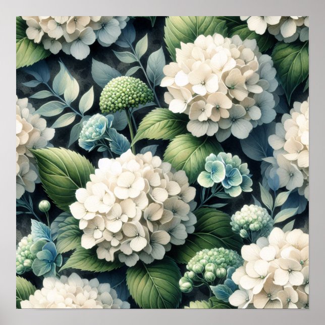 Póster Pintura botánica de Hydrangea blanca (Frente)