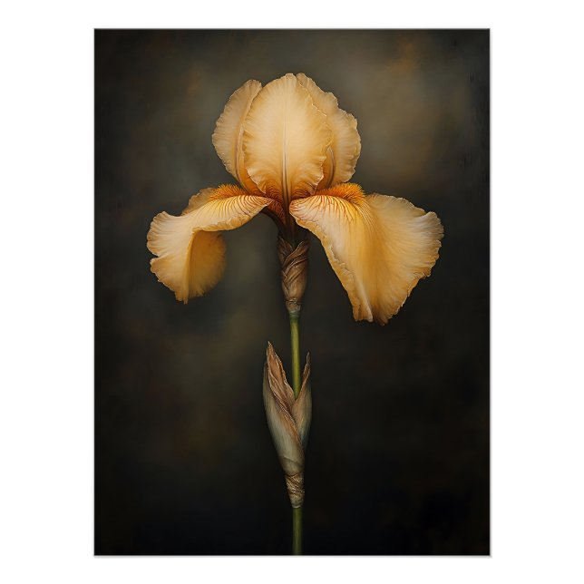 Póster Pintura botánica de Iris amarillo (Anverso)