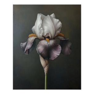 Póster Pintura botánica de iris morado y blanco