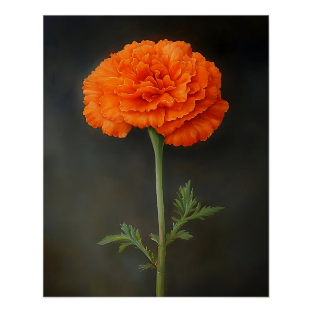 Póster Pintura botánica de Marigold (Anverso)