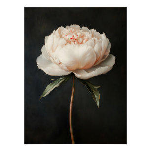 Póster Pintura botánica de Peony Rosa de Rubor