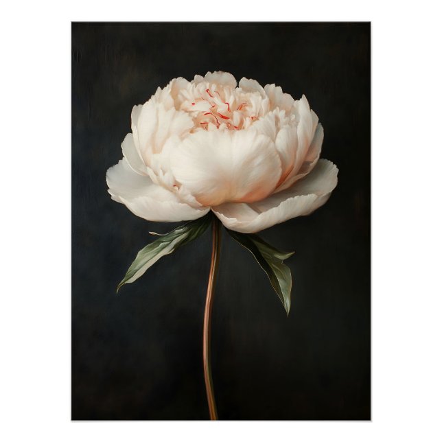 Póster Pintura botánica de Peony Rosa de Rubor (Anverso)