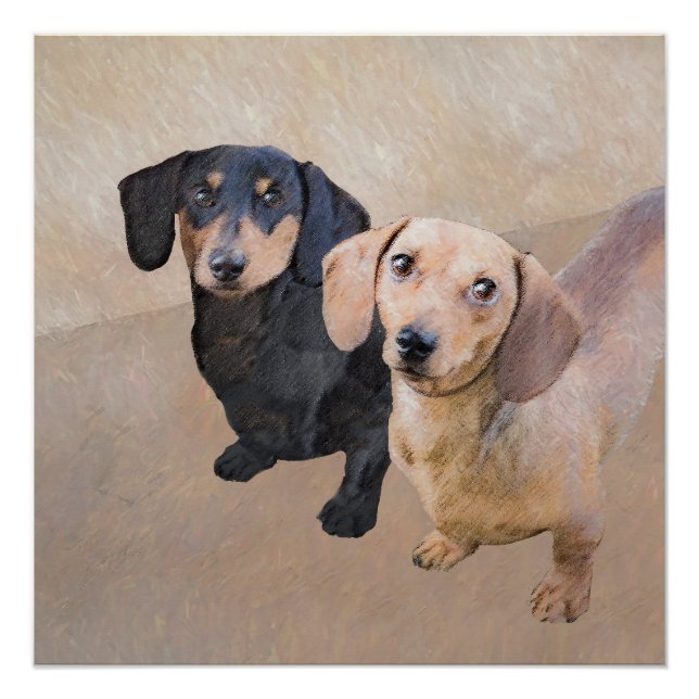 Póster Pintura Dachshund (suave) - Arte Perro Original (Anverso)