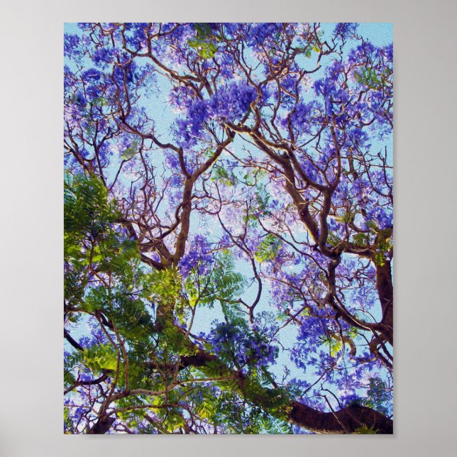 Póster Pintura de aceite de arbol de Jacaranda morado, (Frente)
