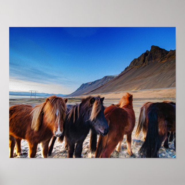 Póster Pintura de aceite de caballos de Islandia (Frente)