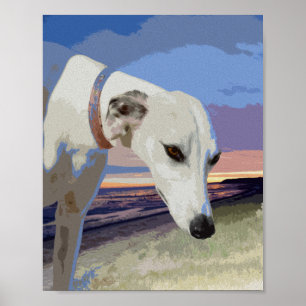 Póster Pintura de aceite de Greyhound blanco, Poster