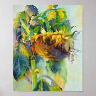 Póster Pintura de acuarela de girasol