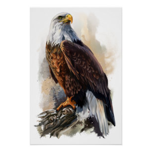Póster Pintura de águila calva