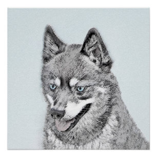 Póster Pintura de Alaskan Klee Kai - Arte Perro Original.