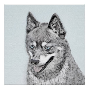 Póster Pintura de Alaskan Klee Kai - Arte Perro Original.
