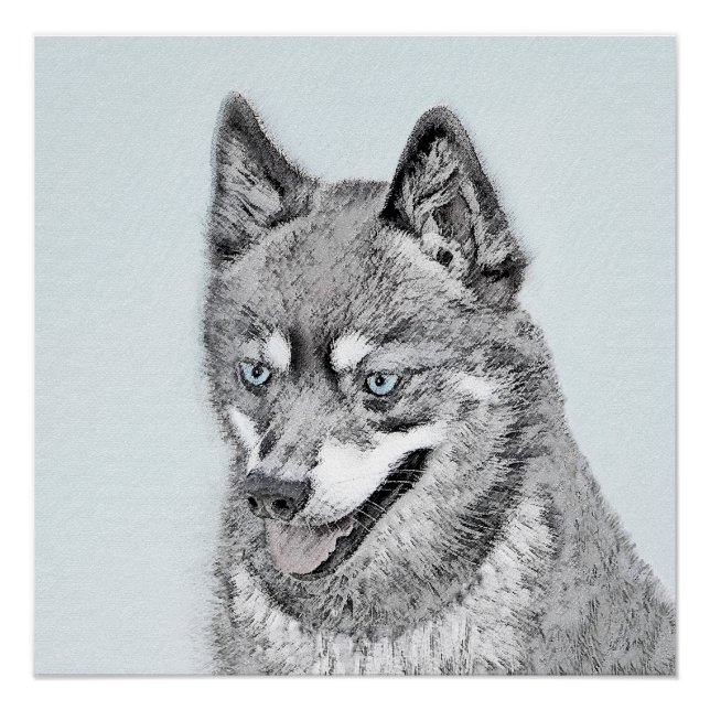 Póster Pintura de Alaskan Klee Kai - Arte Perro Original. (Anverso)