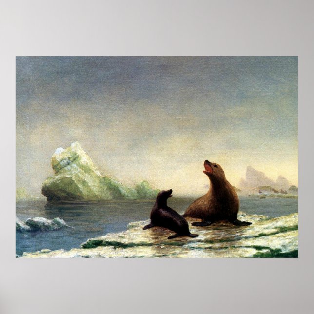 Póster pintura de Albert Bierstadt, focas (Frente)