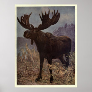 Póster Pintura de alces de época (1909)