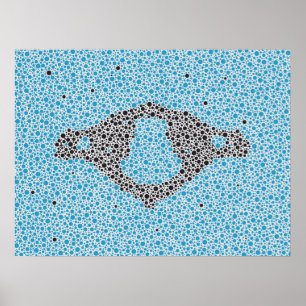 Póster Pintura de Anatomía Quiropráctica Vertebrae Cervic