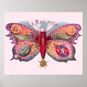 Póster Pintura de antigüedades de mariposa