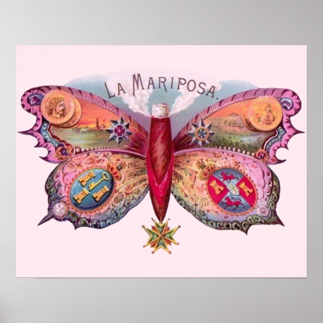 Póster Pintura de antigüedades de mariposa (Frente)