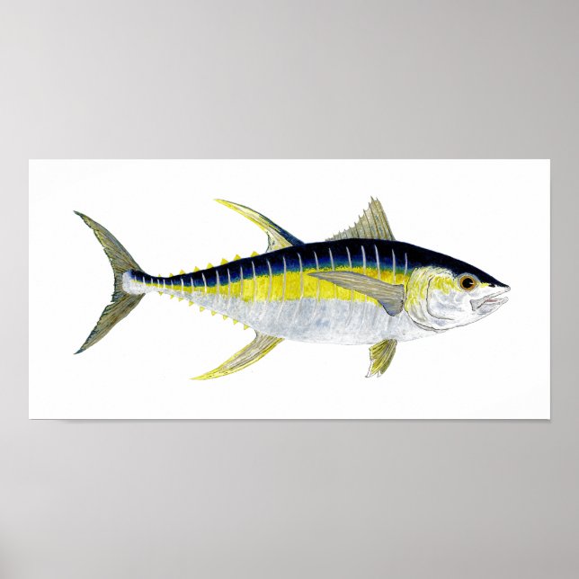 Póster Pintura de atún de Yellowfin (Frente)