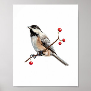 Póster Pintura de ave Chickadee en acuarela