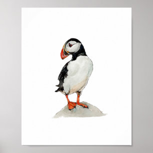 Póster Pintura de ave frailecillo al acuarela