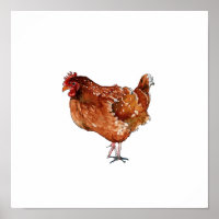 Pintura de ave gallina marrón a la acuarela