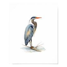Pintura de ave garza azul grande acuarela