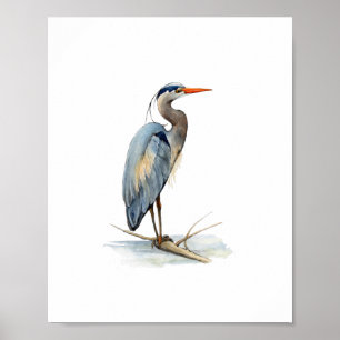 Póster Pintura de ave garza azul grande acuarela