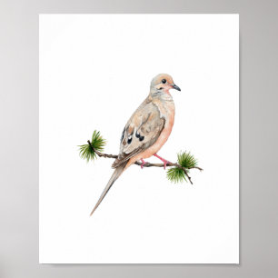 Póster Pintura de ave paloma acuarela