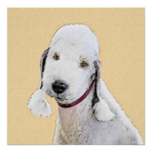 Póster Pintura de Bedlington Terrier - Original Perro Art