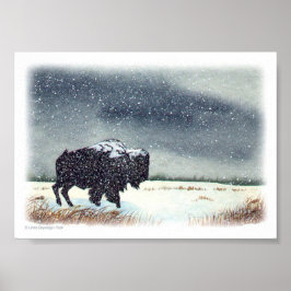 Póster Pintura de Bison Dusto de Nieve