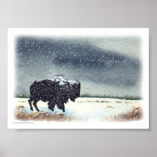 Póster Pintura de Bison Dusto de Nieve