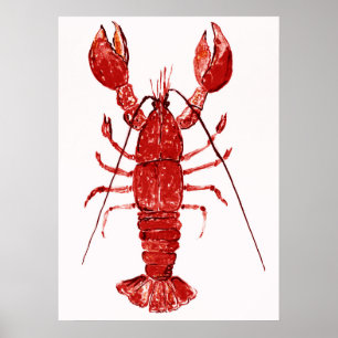 Póster Pintura de bogavante rojo