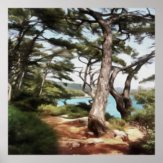 Póster Pintura de bosque de pino de Pinus pinea