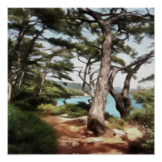 Póster Pintura de bosque de pino de Pinus pinea