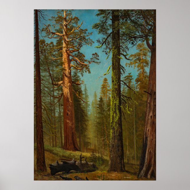 Póster Pintura de bosque de secuoya gigante de Bierstadt (Frente)