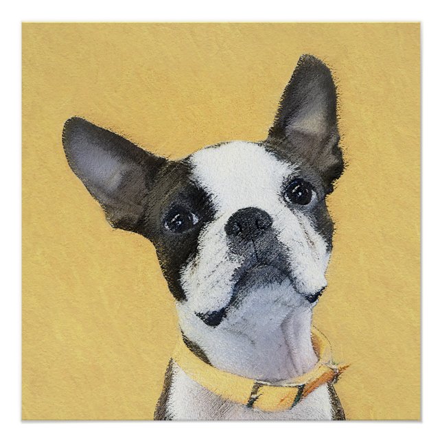 Póster Pintura de Boston Terrier - Arte de Perro Original (Anverso)
