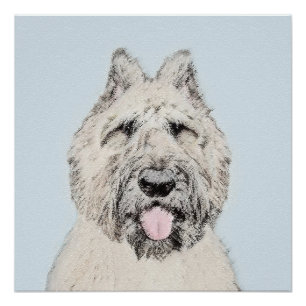 Póster Pintura de Bouvier des Flandres - Arte original de