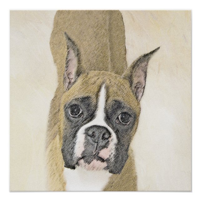 Póster Pintura De Boxer - Arte De Perro Original Cuto (Anverso)