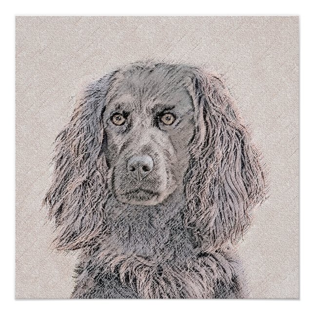 Póster Pintura de Boykin Spaniel - Arte de Perro Original (Anverso)