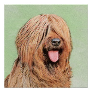Póster Pintura de Briard - Arte de Perro Original.