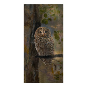 Póster Pintura de búho barrado 14 x 28
