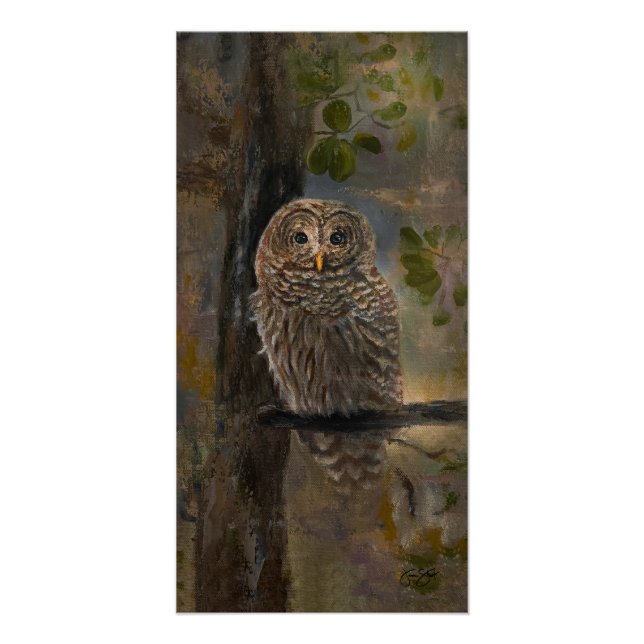 Póster Pintura de búho barrado 14 x 28 (Anverso)