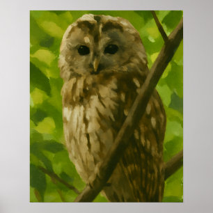 Póster Pintura de búho realista en el entorno de Woodland