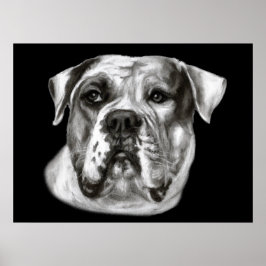 Póster Pintura de bulldog
