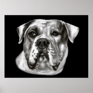 Póster Pintura de bulldog