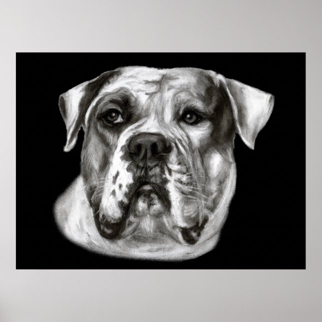 Póster Pintura de bulldog (Frente)