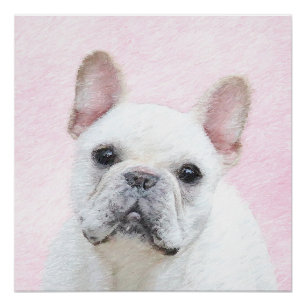 Póster Pintura de Bulldog francés (crema/blanco) - Arte d